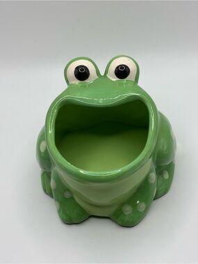 VTG Green Wide Mouth Ceramic Frog Sponge Holder Boston Warehouse Trading Corp